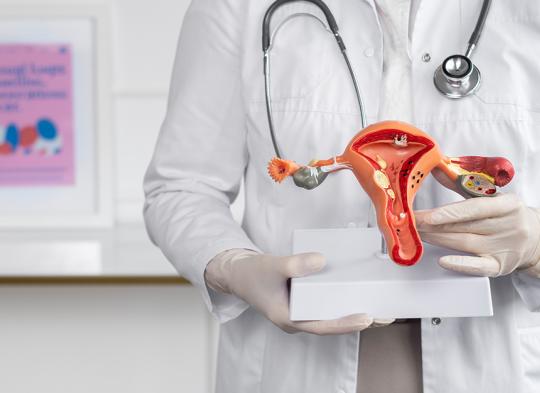 A few words about endometriosis from Polish Gynaecologist